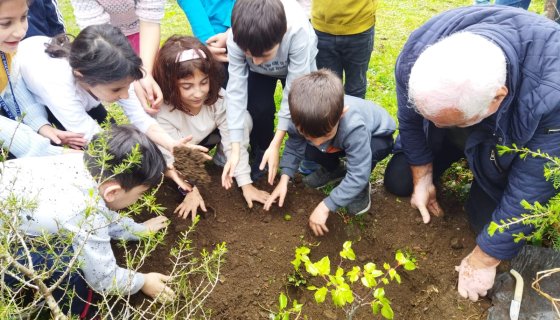 HOPA ZİRAAT ODASI KÖYLERDE FİDAN DİKMEYE DEVAM EDİYOR