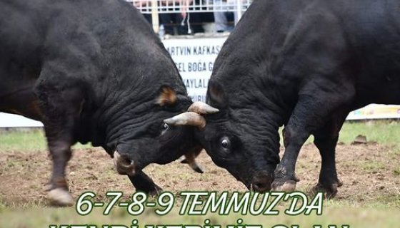 Kafkasör Festivali'nin Tarihi Belli Oldu
