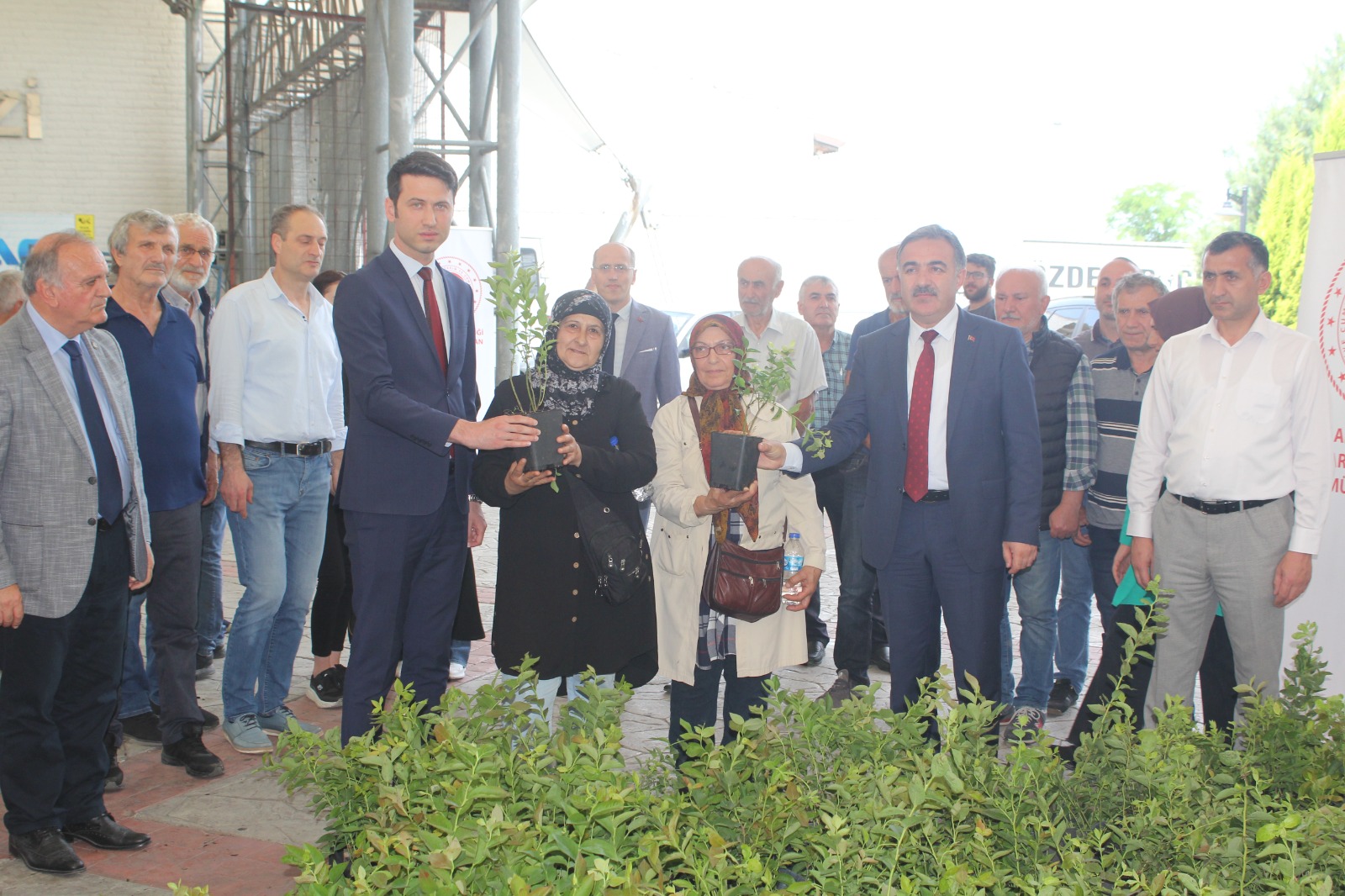 ARHAVİ’DE MAVİYEMİŞ FİDESİ DAĞITILDI
