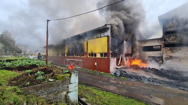 Kemalpaşa Çay Fabrikasında Korkutan Yangın