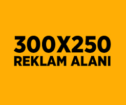 300*250